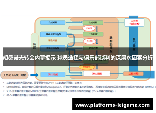 胡桑诺夫转会内幕揭示 球员选择与俱乐部谈判的深层次因素分析 胡桑诺夫转会内幕揭示 球员选择与俱乐部谈判的深层次因素分析
