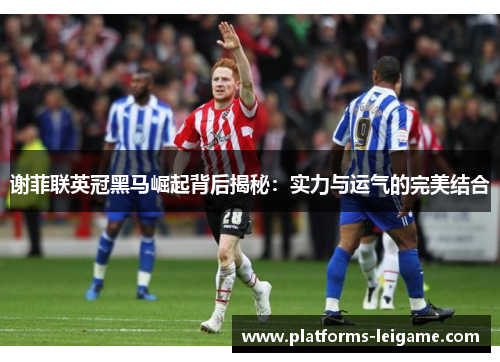 谢菲联英冠黑马崛起背后揭秘:实力与运气的完美结合 谢菲联英冠黑马崛起背后揭秘:实力与运气的完美结合