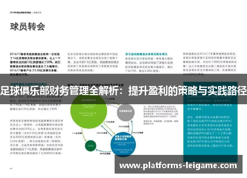 足球俱乐部财务管理全解析：提升盈利的策略与实践路径