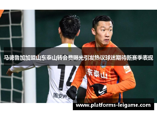马德鲁加加盟山东泰山转会费曝光引发热议球迷期待新赛季表现