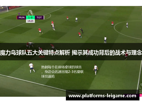 魔力鸟球队五大关键特点解析 揭示其成功背后的战术与理念